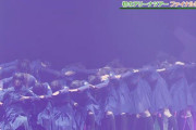 欅坂46『不協和音』＠真っ白ツアーファイナルライブ映像、血糊を使った表現などが過激すぎるため映像化を断念。ベストアルバム初回仕様限定盤特典収録を見送り