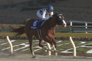 19年フェブラリーS勝ち馬インティ種牡馬入り
