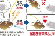 【画像】脳研究にイノベーションをもたらす「光遺伝学」がヤバすぎる。自閉症の治療に期待か
