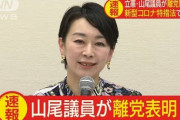 【立憲民主党】離党届提出の山尾志桜里議員「風通し良くない」と批判　枝野氏掲げる立憲主義について「後退している」とも