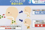 「インフルにかかる人・かからない人の違いは？」「医師はどう予防？」インフルエンザの疑問を専門家に聞く