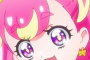 【プリキュア】わんだふるぷりきゅあに期待することは？