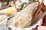 メス牡蠣(生食用)「検査大丈夫だったから…生でもいいよ……？」