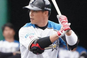【速報】日ハム王柏融、来季から背番号3に変更