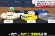 中国SHEIN、発ガン性下着に続き発ガン性水着、発ガン性浮き輪を販売　