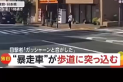 【悲報】逆走した暴走車、歩道に突っ込んで漫画みたいな動きをするｗｗｗｗ