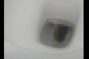 トイレを利用しようと便器を見ると奥に何かを発見 → 中からとんでもない物が出てきて驚愕・・・