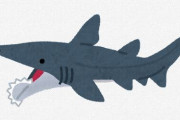 【悲報】サメの進化、フリーダムすぎる