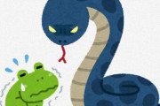 【悲報】おんJ民の1割が爬虫類と両生類の違いを説明できない