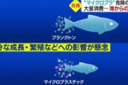 【緊急】マイクロプラスチックさん、なんか突然ヤバい事になる