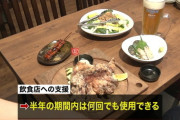 【GO TO キャンペーン】旅行代の半額、1人1泊につき最大2万円　利用回数に上限なし！飲食は1回につき最大1000円　何回でもOK！