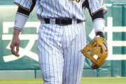 新井貴浩(37) 94試合 .244(176-43) 3本 31打点 OPS.639 自由契約