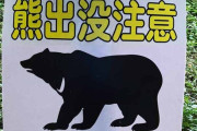 維新・串田氏、わなで捕らえたクマも発砲の対象「おかしい」　国と水掛け論