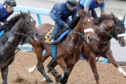 【2歳新馬】アロンズロッド、デビュー戦に向け最終追い切りで好時計マーク