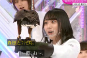 ファビ丸くんスタジオ登場！櫻坂46森田ひかる、鷹匠を体験【そこ曲がったら、櫻坂？】
