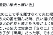 Twitter女さん「キツネ色に揚げといて」旦那「キツネ色！？」