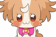 【プリキュア】老犬じゃん・・・