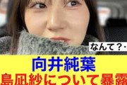 【ほっこり】櫻坂46向井純葉が同期小島凪紗の私生活を暴露…！#櫻坂46 #そこ曲がったら櫻坂 #櫻坂46三期生