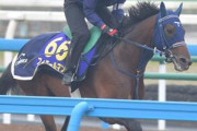 有馬記念でフィエールマンの複勝にボーナスつぎ込むけど不安要素ある？