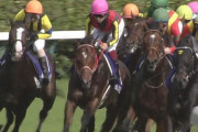 【競馬】リアルスティール、デムーロで毎日王冠へ