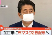 安倍首相「布マスクを配布したおかげで市中にマスクが出回り価格が下落した！」→検証した結果○○なだけでしたｗｗｗｗ