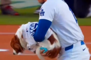 【動画】大谷翔平の愛犬、デコピンの始球式ｗｗｗｗｗ