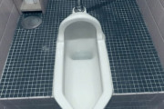俺「新築のトイレは和式にしよう！」 嫁「嫌あああああ！！！」