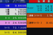 今日の大井12Ｒで2,000万円超出たんだが