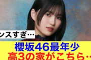 【ズルい】櫻坂46最年少的野美青の部屋が公開されて超話題に！！#櫻坂46