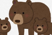 悲報 日本人、ヒグマ駆除に「クマが可哀想…」とクレームを入れてしまう