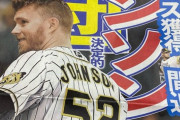 阪神・ジョンソン、やっぱり退団へ
