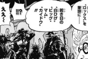 ワンピースのロックス海賊団、いくらなんでもヤバ過ぎる