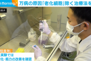 【朗報】"老化細胞"取り除く治療法発表