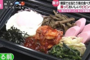 【悲報】韓国人「日本メディアが、韓国の『シャカシャカ』弁当を紹介！」弁当箱を振って中身をぐちゃぐちゃに混ぜて食べる韓国風弁当とは？　韓国の反応