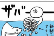 【漫画】水族館職員の日常はシュールで未知な体験で溢れていたｗｗｗｗｗｗｗｗｗｗｗ
