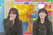 【櫻坂46】りかたん、川島さんに詰められるもギリギリセーフwww【ラヴィット】
