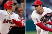 大谷翔平、チーム内14冠ｗｗｗｗｗｗｗｗｗ