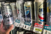 不買運動弱まる…日本ビールの輸入急増、前年同月比873.7％増加＝韓国の反応