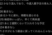 【1ヶ月半入厩待ちの馬も…】矢作厩舎　入厩渋滞で出資者達がブチギレ　外厩も呆れ果て遂に矢作が謝罪