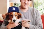 大谷翔平の愛犬は「デコピン」！米国では「発音が難しいので『Ｄｅｃｏｙ（ディコイ＝おとり）』と紹介」