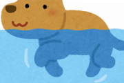 イッヌ、犬かきするとは限らなずただプカプカ浮いてるだけの子も居る模様ｗｗｗｗｗｗｗｗｗｗ