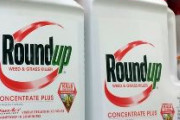 【悲報】アメリカ人さん、除草剤ラウンドアップ使いすぎで体内から除草剤検出　調査参加者の80％以上