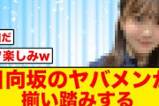 【神回確定】とある番組に日向坂46のヤバメンが揃い踏みする