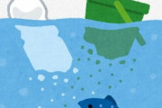 【環境】マイクロプラスチック、淡水魚よりも海水魚の方が多く飲むことが判明　東大研究