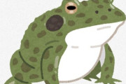 【コオロギの次はカエルか？】カエル食が注目される
