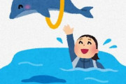 日本人「水族館にイルカ見にいこう?」外国人「don't stop !」