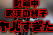【中国感染爆発】封鎖中の武漢の様子がやばすぎた　（動画あり）