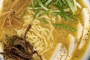 韓国人「日本のラーメンは脂っこくで激マズだった」日本のラーメンが韓国の60円のインスタントラーメンより劣るとは思わなかった　韓国の反応