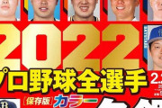 【悲報】選手名鑑の中日ドラゴンズ、何かがおかしい
