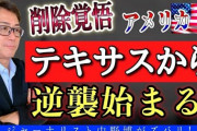 トランプ「最高裁棄却？戦い続ける！」リンウッド「投票者で適格者だから同じ内容で訴状出す(米国最強動く」連邦最高裁「」米国「大規模集会で支持者もANTIFAも首都集結！」→